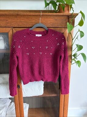 Society Berry Bejeweled Crewneck Sweater